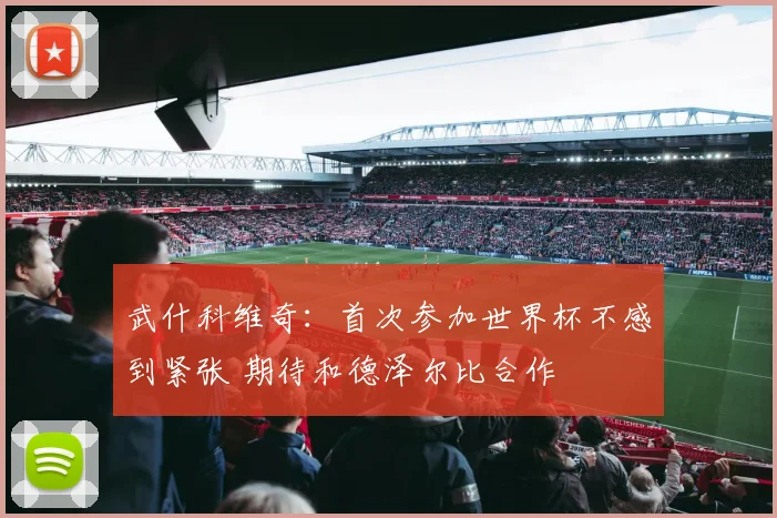 武什科维奇：首次参加世界杯不感到紧张 期待和德泽尔比合作